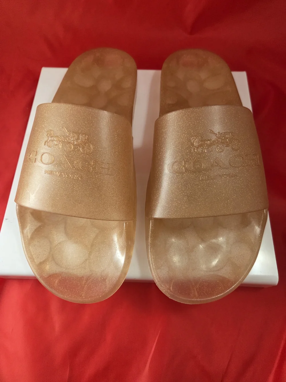 COACH ULYSSA Women’s Gold Slide Sandals